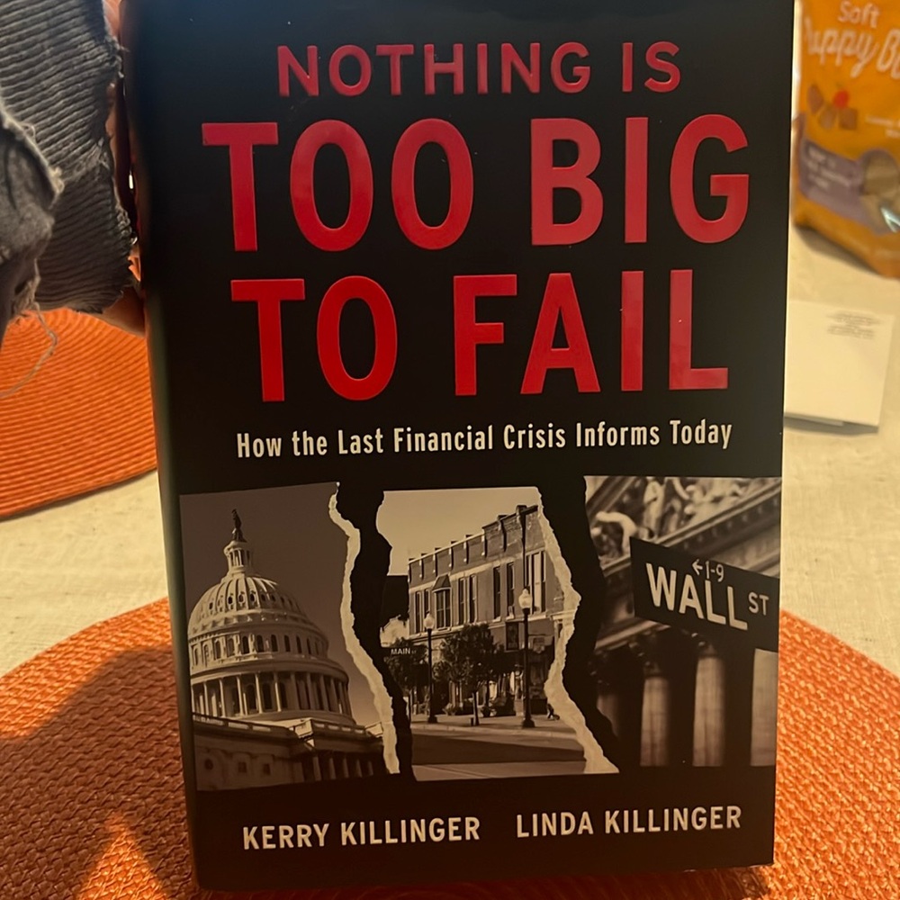 Nothing Is Too Big to Fail: How the Last Financial Crisis Informs Today Hardback